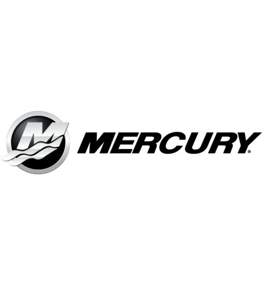 Filtru motor Mercury